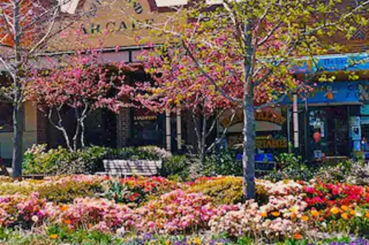 Rose Pine Cottage At 로라 외부 사진